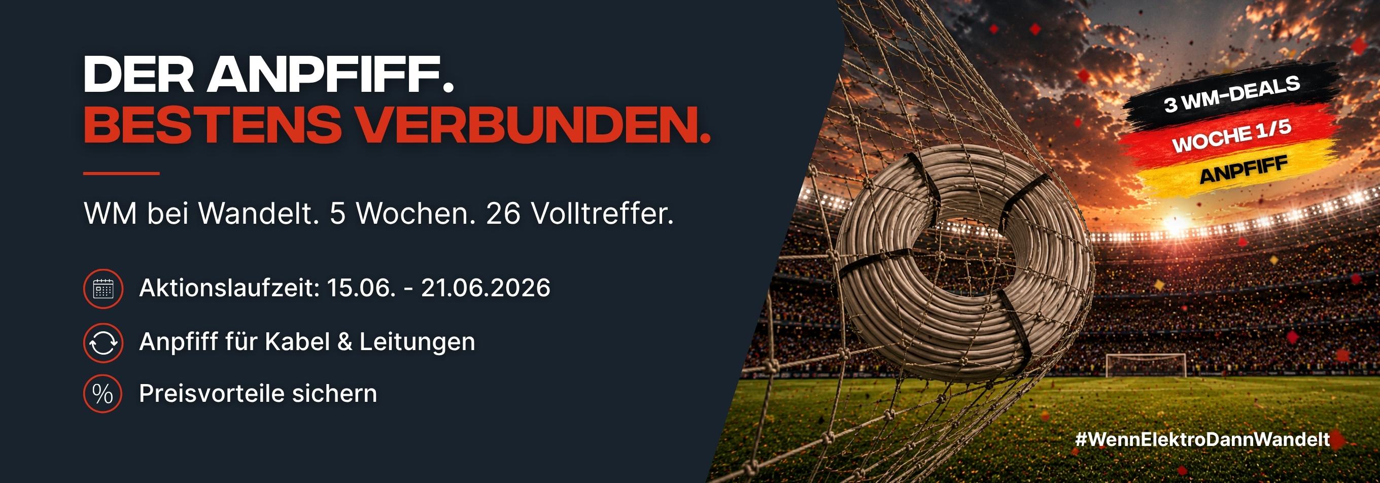WANDELT WM-DEALS