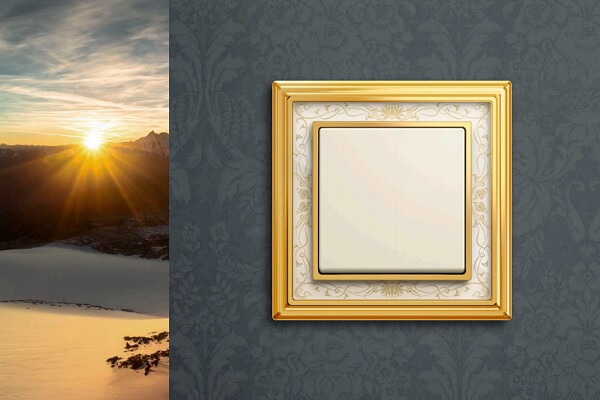 Busch Jaeger Busch-dynasty®