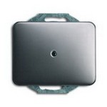 Blindabdeckung platin