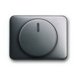 Dimmerabdeckung platin