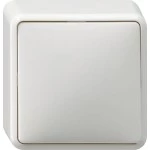 Gira Schalter IP20