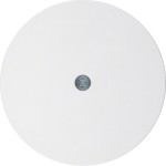 Berker 10192089 Zentralstück f Ka u Vdo-Asd R.1 pw 