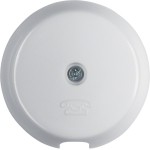 Berker 1037 Zentralstück für Tel-Steckdose Glas. Pw 