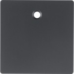 Berker 11466086 Zentralstück f Zugsch/tast Q.x anth 