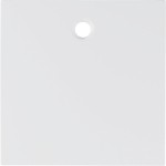 Berker 11468989 Z-stück f Zugsch/tast S.1/B.3/B.7 pw glä 