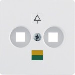 Berker 14031909 Zentralplatte f Doppel-Potenziala.Std pw 