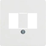 Berker 145809 Z-Platt CT TAE 2X6/Aad2/. polarweiß 