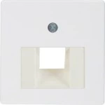 Berker 146809 Z-Platte UAE 1fach CT pw 