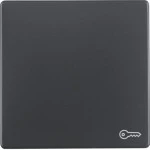 Berker 16206066 Wippe mit Aufdr Symbol Tür Q.x ant 