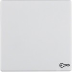 Berker 16206069 Wippe mit Aufdr Symbol Tür Q.x pw 