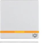 Berker 16216079 Wippe m 2 Linsen und Symbol Licht Q.x pw 