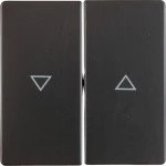 Berker 16256086 Wippen 2-fach mit Aufdruck Symbol Pfeil Serie Q.x anthrazit, samt 