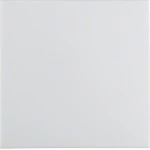 Berker 16298989 Wippe mit Befeststück S.1 IP44 pw glzd 