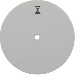 Berker 16742089 Zentralstück m Knopf für Zeitr R.1/3 pw 