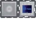 Berker 29806084 Radio mit Lautspr. DAB+ Q.x alu 