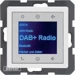 Berker 29846089 Radio DAB+, Q.x pw 