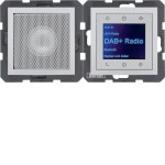 Berker 30801404 Radio mit Lautspr. DAB+, Bt.,B.x alu 