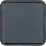 Berker 6130763545 Wippe 1fach f. W.1 Taster-BA, grau 