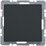 Berker 6710096086 Blindverschluss m Z.stück Q.x anth 