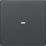 Berker 80960226 Abdeckung 1f. Tastsen.-Modul Q.x anth 