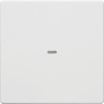 Berker 80960229 Abdeckung 1f. Tastsen.-Modul Q.x pw 