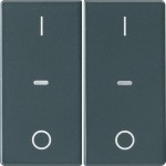 Berker 80962326 Abdeck. Tast.-M. 2f. I/O Q.x anth 