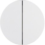 Berker 85142139 Taste 2fach R.1/R.3 polarweiß glänzend 