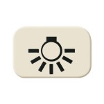 Busch-Jaeger 2CKA001433A0424 Tastersymbol Licht 
