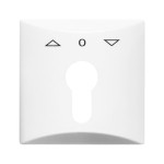 Busch-Jaeger 2CKA001710A1829 Zentralscheibe mit Aufdruck Symbol Pfeile und 0 für Jalousie, 