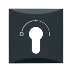 Busch-Jaeger 2CKA001710A1902 Zentralscheibe mit Aufdruck Symbol 0 und 1 für Jalousie, Schlüsselschalter 