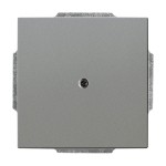 Busch-Jaeger 1749-803 Zentralscheibe mit Tragring graumetallic 2CKA001710A3844 