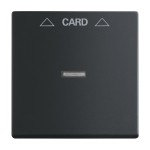 Busch-Jaeger 2CKA001710A3905 Zentralscheibe 