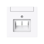 Busch-Jaeger 2CKA001710A4227 Zentralscheibe mit Beschriftungsfeld Kommunikations-Steckverbinder 2-fach 