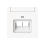 Busch-Jaeger 2CKA001710A4228 Zentralscheibe mit Beschriftungsfeld Kommunikations-Steckverbinder 2-fach 