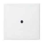 Busch-Jaeger 2CKA001724A4338 Zentralscheibe Busch-Infoline® Telefonverbindersteckdosen (Vdo) alpinweiß - 