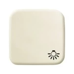 Busch-Jaeger 2CKA001731A0272 Wippe mit Aufdruck Licht 