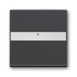 Busch-Jaeger 2CKA001731A1982 Wippe mit Beschriftungsfeld 