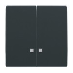 Busch-Jaeger 2CKA001751A3121 Wippe Wippe-Serien-Kontrollschalter 