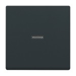 Busch-Jaeger 2CKA001751A3147 Wippe mit kleiner transparenter Kalotte 