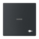 Busch-Jaeger 2CKA001751A3164 Wippe mit Aufdruck Symbol Steckdose mit kleiner transparenter Kalotte für 