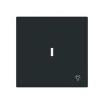 Busch-Jaeger 2CKA001751A3376 Wippe mit Aufdruck Symbol Licht mit kleiner transparenter Kalotte für 