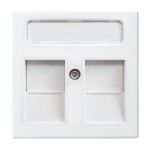 Busch-Jaeger 2CKA001753A0229 Zentralscheibe mit Beschriftungsfeld Modular-Jack-Einsatz 2-fach alpinweiß - 