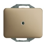 Busch-Jaeger 2CKA001753A1431 Zentralscheibe für Blindabdeckung 1-fach mit Tragring bronze - alpha 