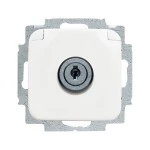 Busch-Jaeger 2CKA002018A1479 SCHUKO® Steckdosen-Einsatz mit Klappdeckel , Zylinderschloss/abschließbar, 