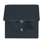 Busch-Jaeger 2CKA002064A0290 SCHUKO® Steckdosen-Einsatz mit Klappdeckel anthrazit - Allwetter 44® (IP44) 