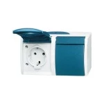 Busch-Jaeger 2CKA002084A0699 SCHUKO® Doppelsteckdose mit Beschriftungsfeld mit Klappdeckel 16 A 