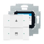 Busch-Jaeger 2CKA006116A0173 Bedienelement, 2-fach, mit beiliegendem Busankoppler 