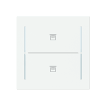 Busch-Jaeger 2CKA006199A0398 Abdeckung als Taster 2-fach 