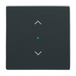 Busch-Jaeger 2CKA006220A0038 Wippe 1-fach, mit Symbol Jalousie 