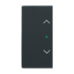 Busch-Jaeger 2CKA006220A0053 Wippe 2-fach links/rechts, mit Symbol Jalousie 